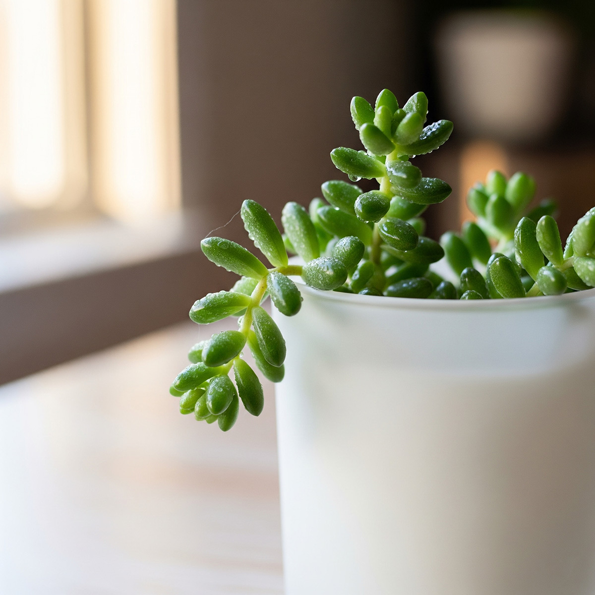Mini planter