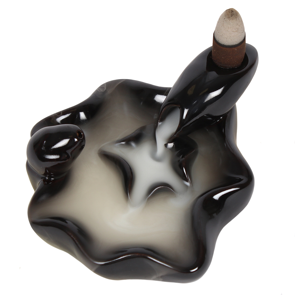 Pool to Pool Backflow Incense Burner1
