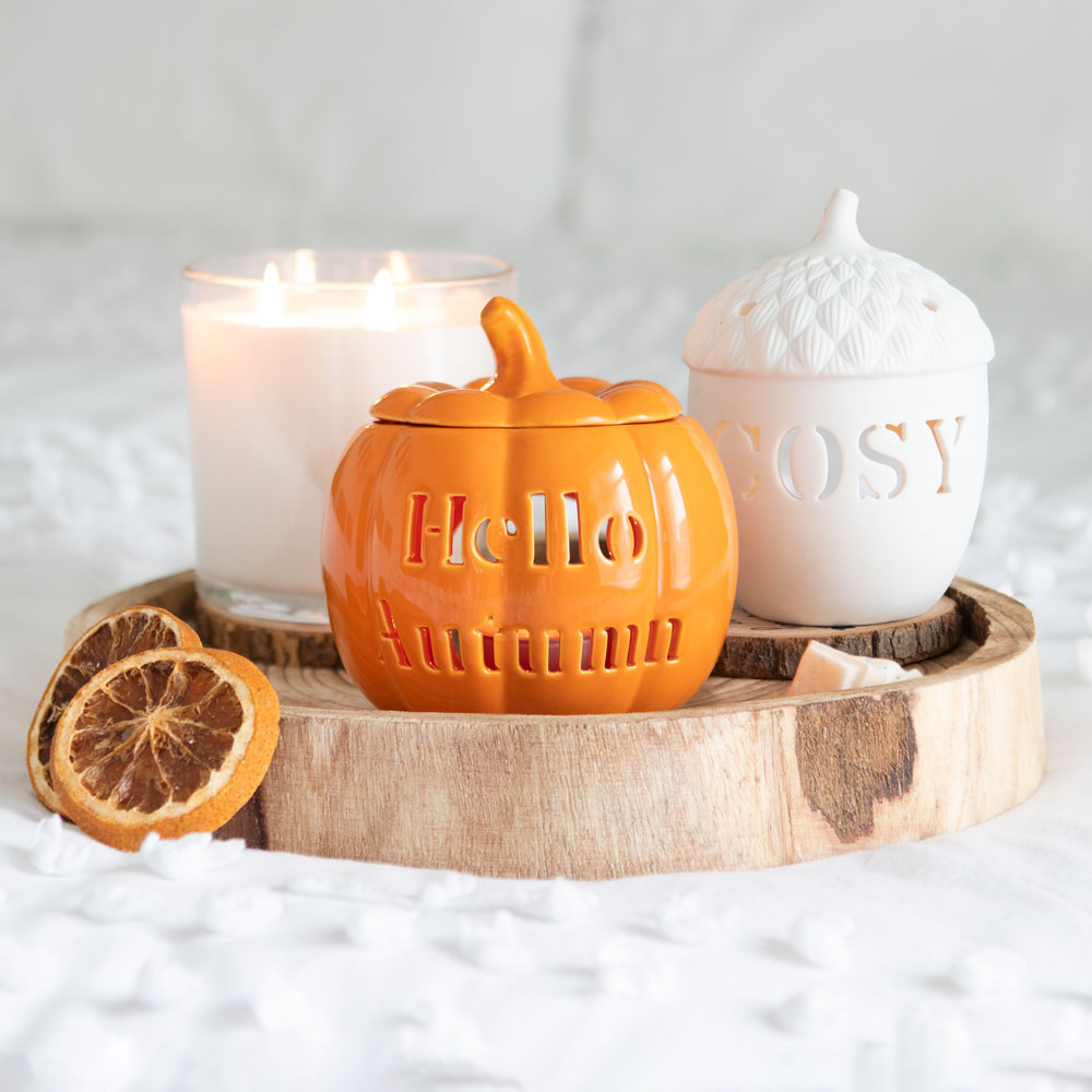 Hello Autumn Pumpkin Oil Burner3