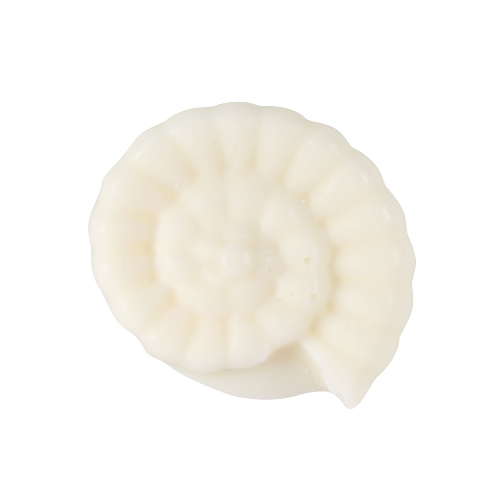 Seashell Wax Melt Burner Gift Set4