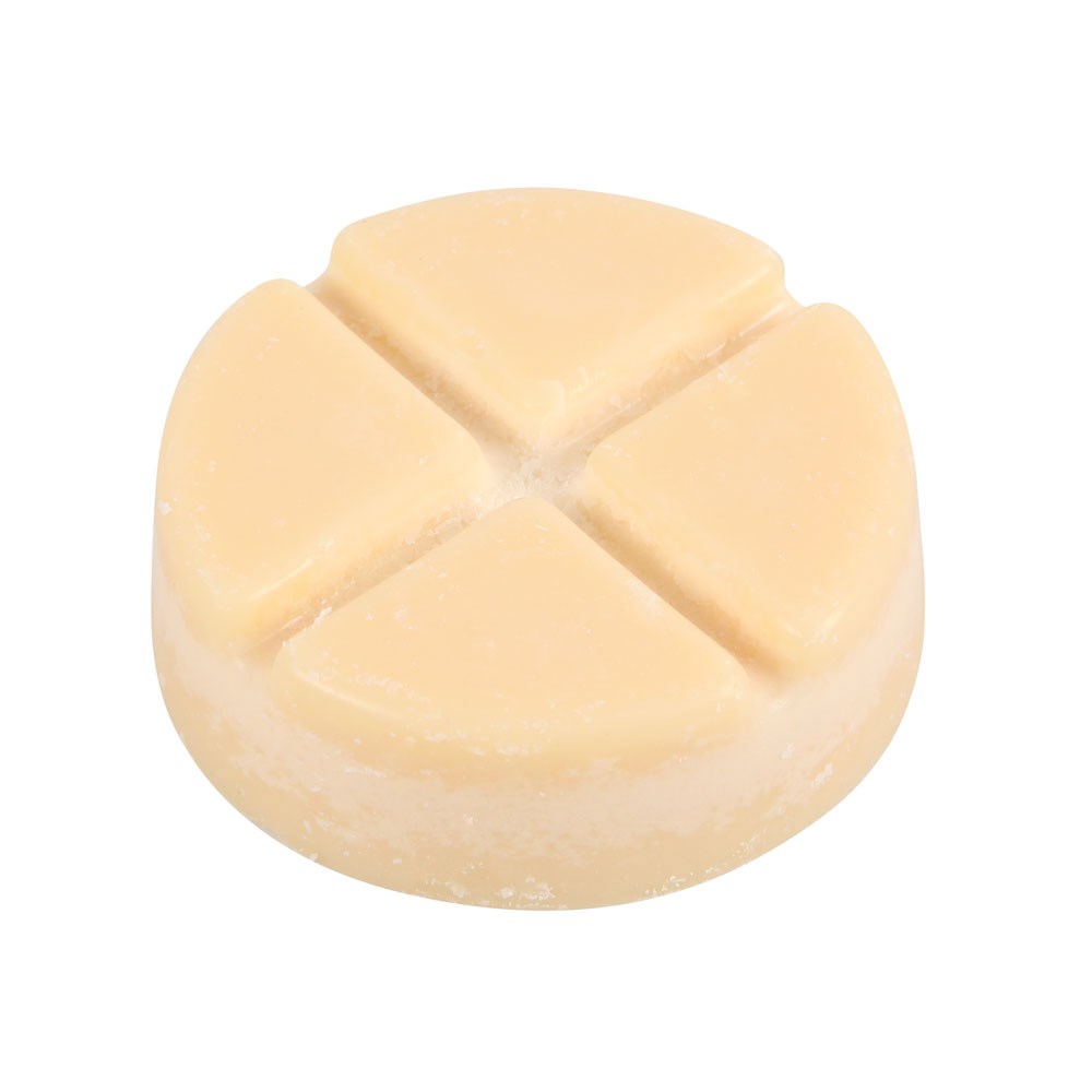 Queen Bee Wax Melt Burner Gift Set5