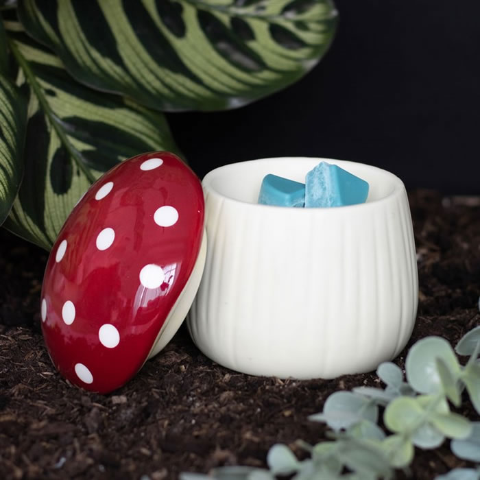 Mushroom Shaped Oil Burner5