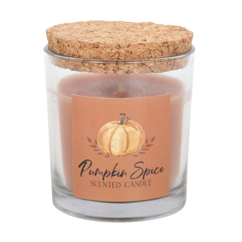Pumpkin Spice Autumn Candle2