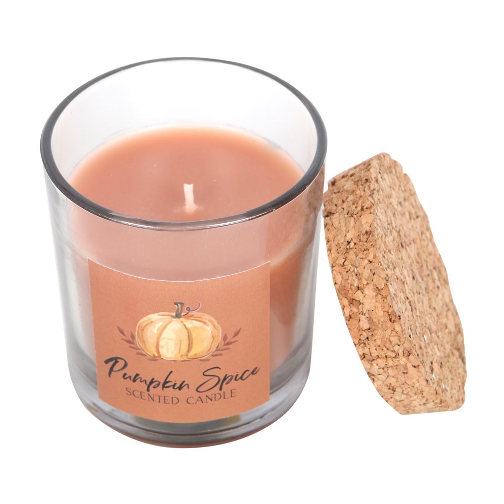 Pumpkin Spice Autumn Candle3