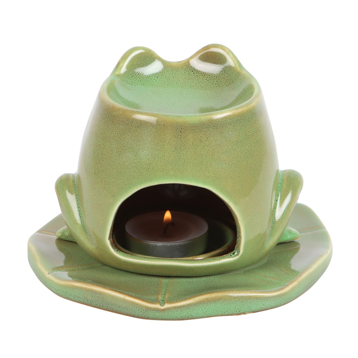 Frog Shaped Oil Burner on Lily Pad2