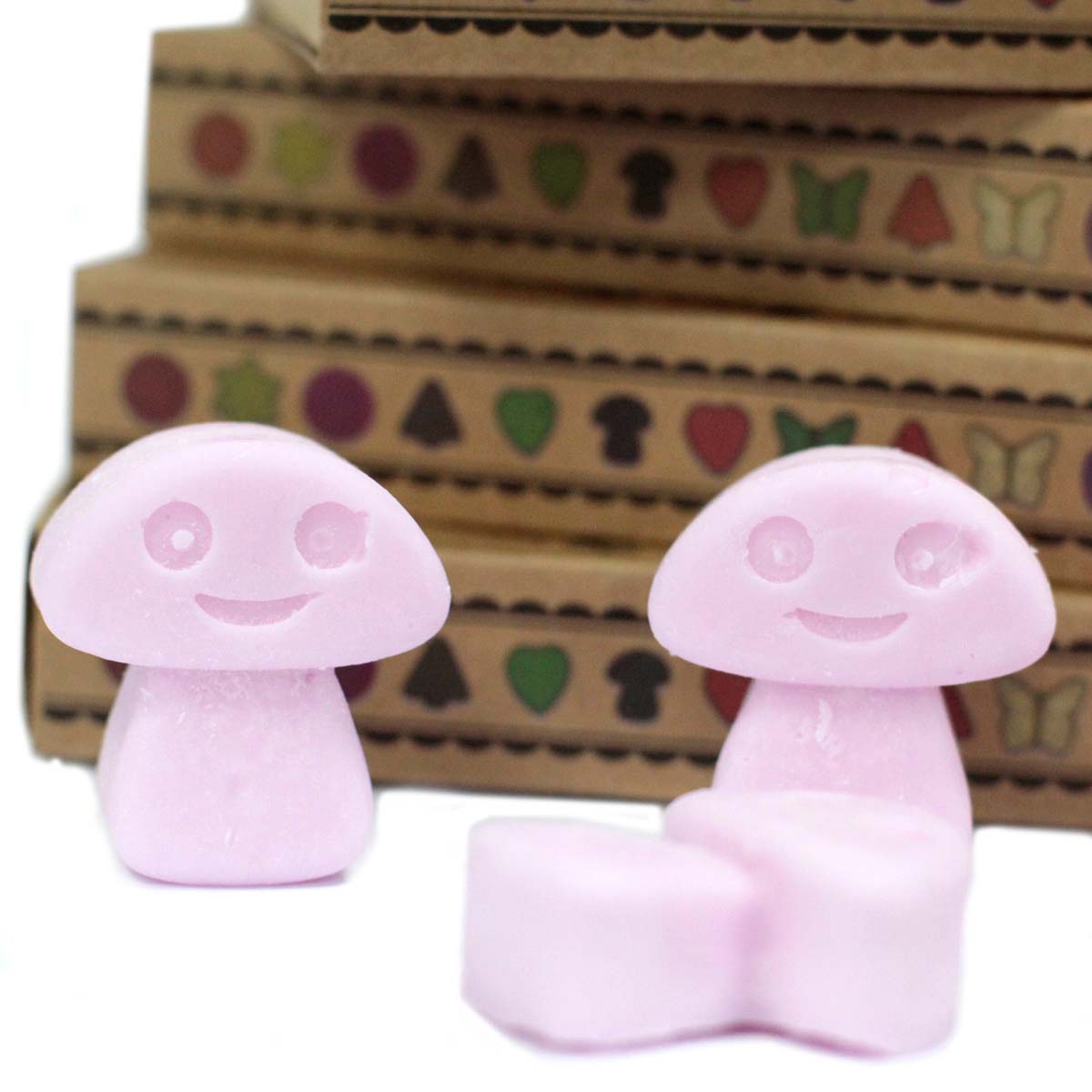 Box of 6 Wax Melts - Ylang Ylang3