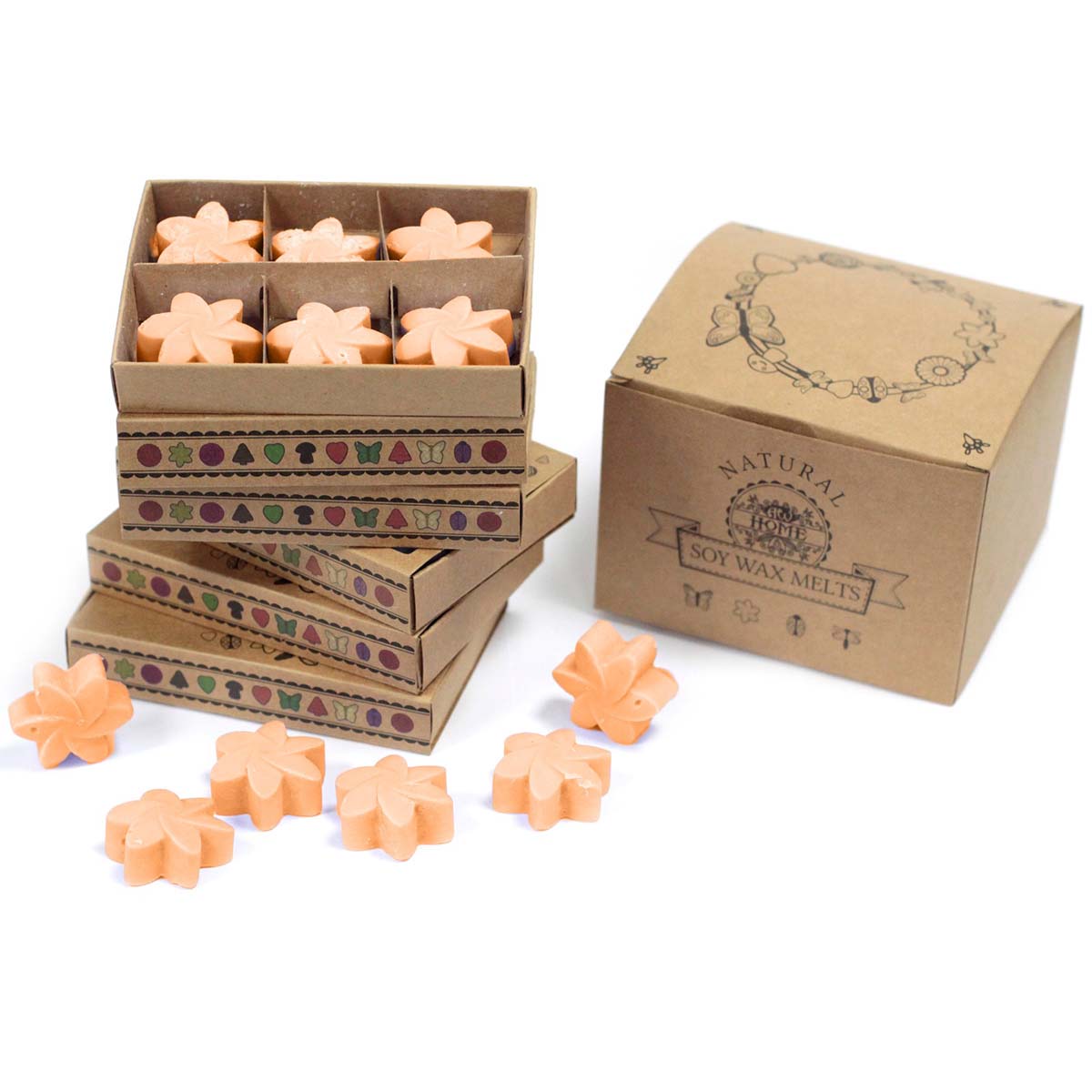 Box of 6 Wax Melts - Mango Fruits1