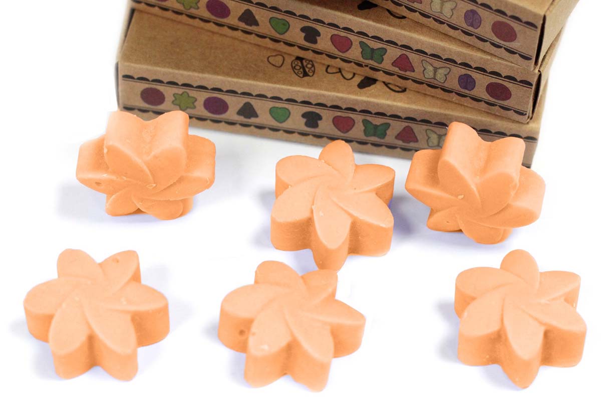 Box of 6 Wax Melts - Mango Fruits3