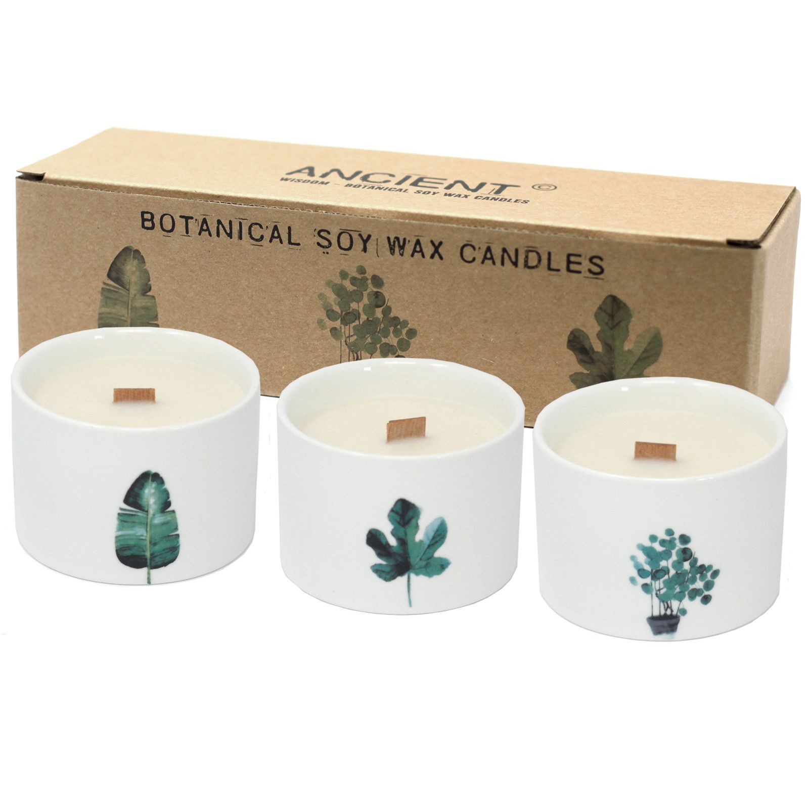 Medium Botanical Candles - Mullberry Harvest