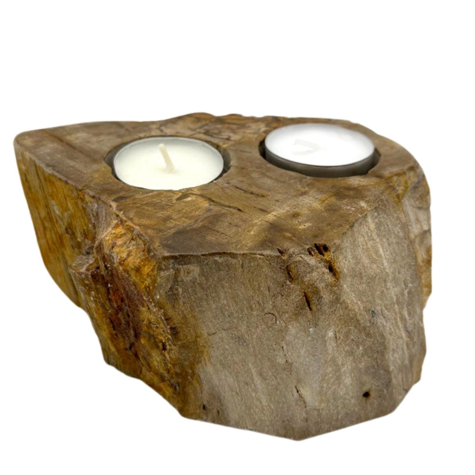 Petrified Wood Candle Holder - Double1