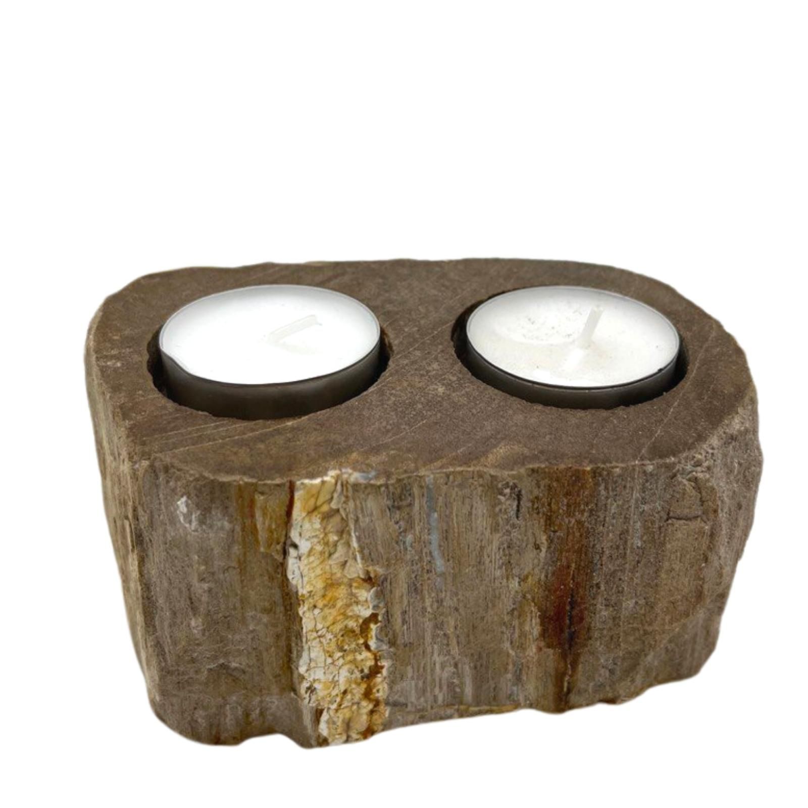 Petrified Wood Candle Holder - Double2