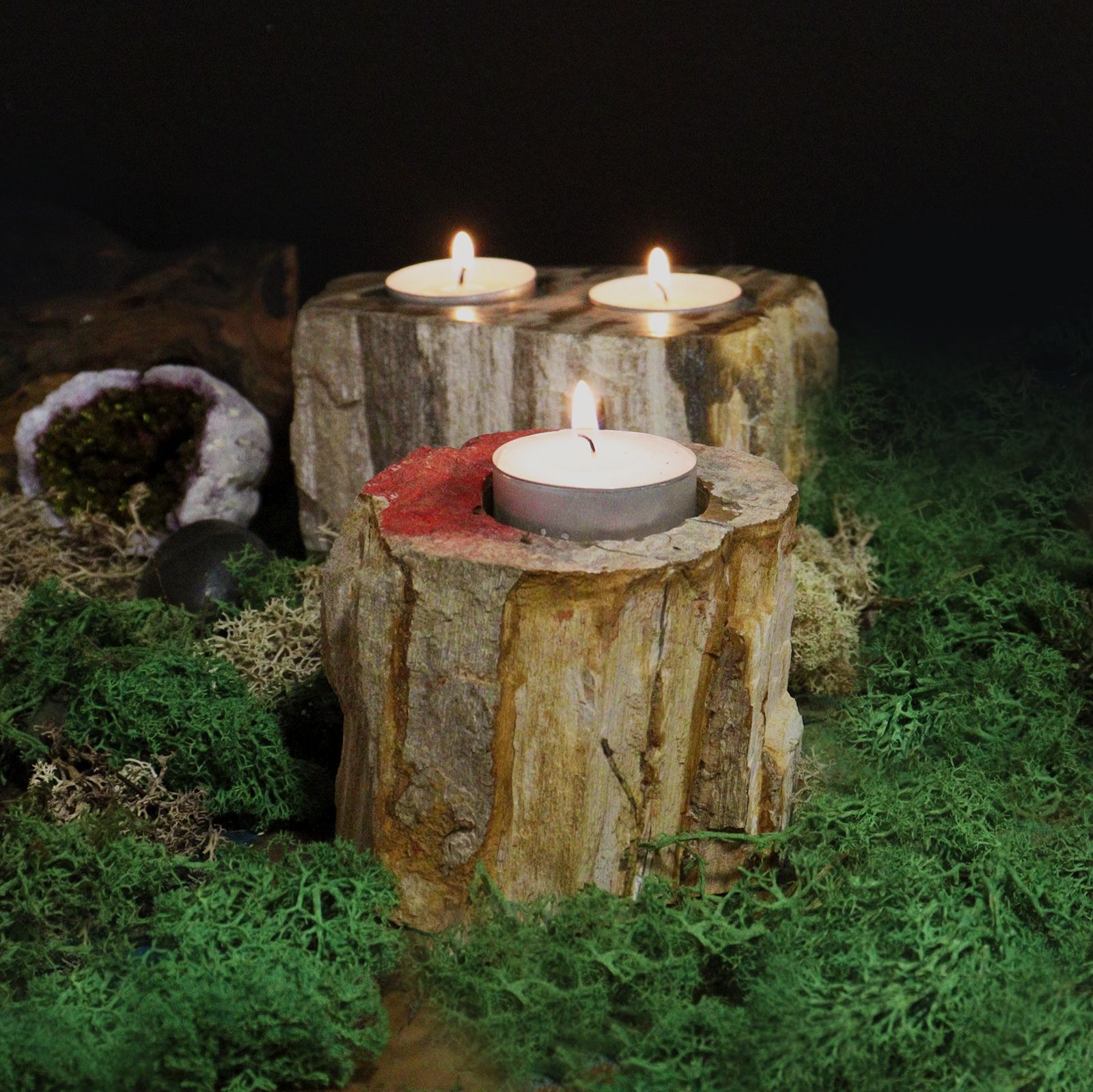 Petrified Wood Candle Holder - Double4