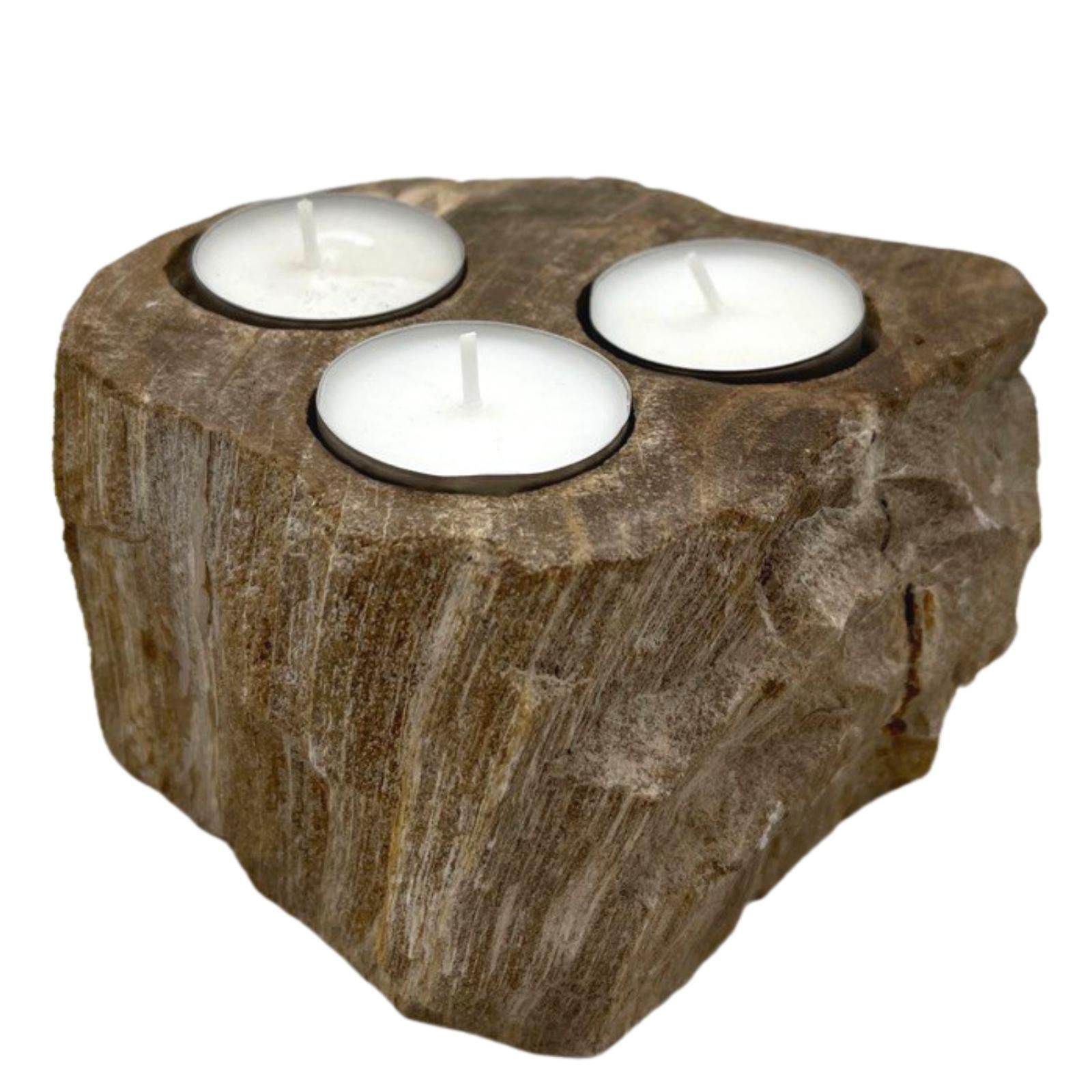 Petrified Wood Candle Holder - Triple1