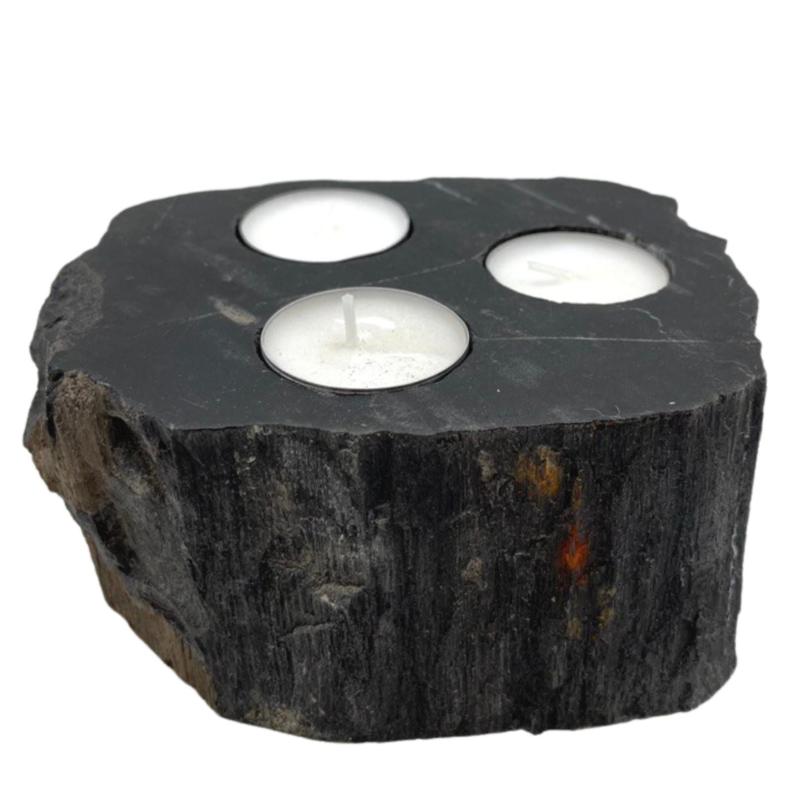 Petrified Wood Candle Holder - Triple2