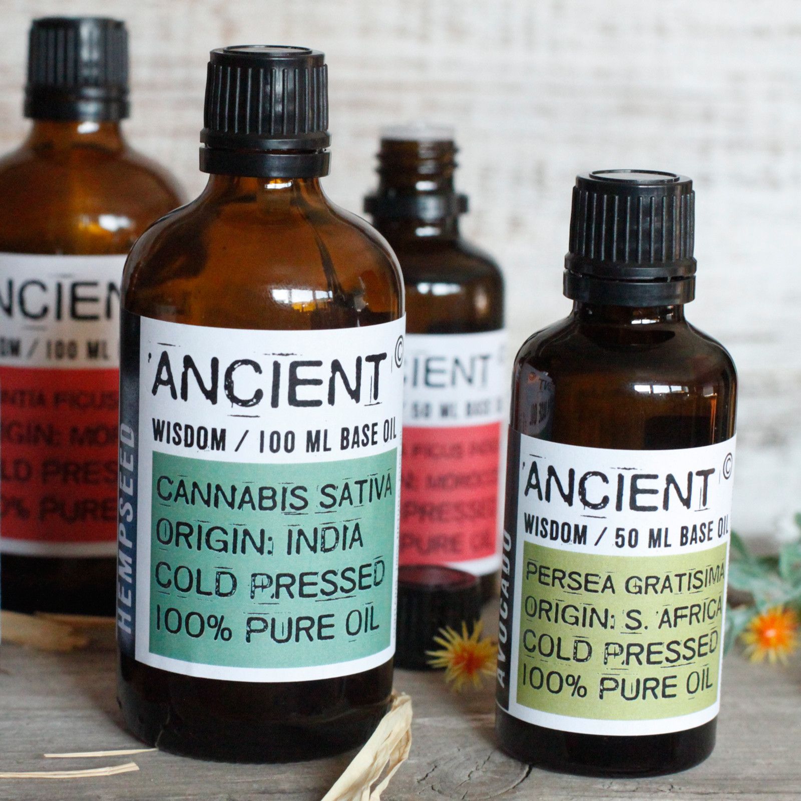 Watermelon Seed Oil - 50ml2