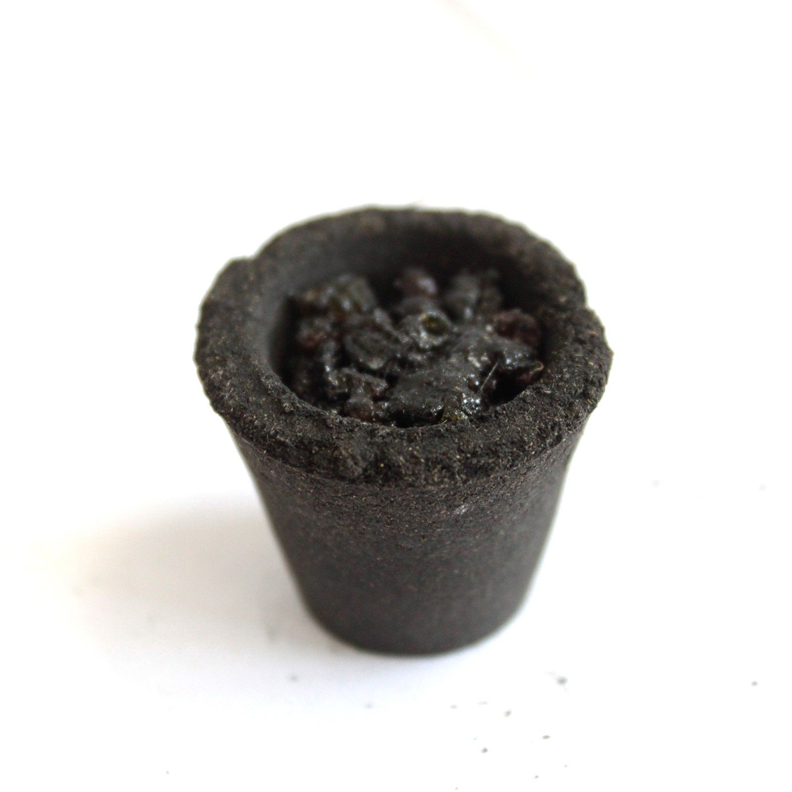 Box of 12 Resin Cups - Three Kings3