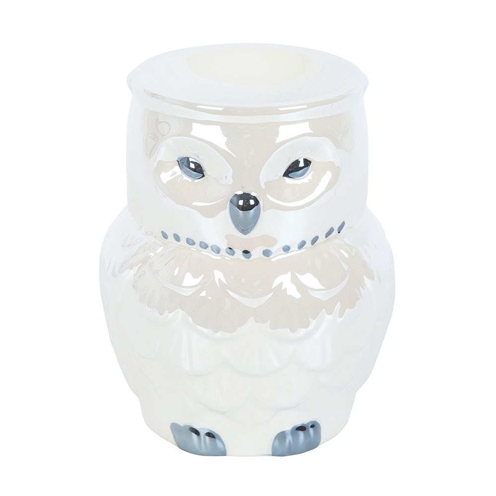 Owl Shaped Iridescent Oil Burner & Wax Warmer1