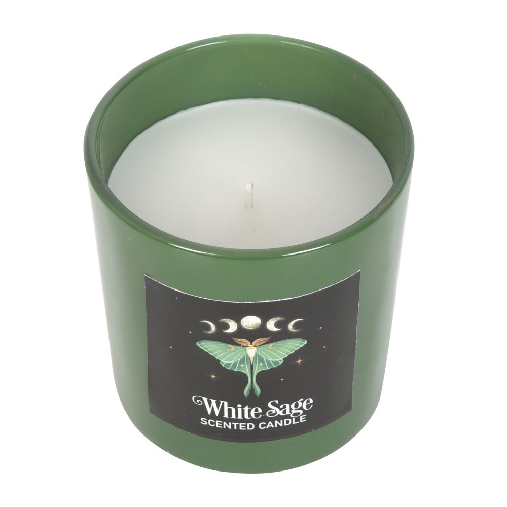 Luna Moth White Sage Candle3