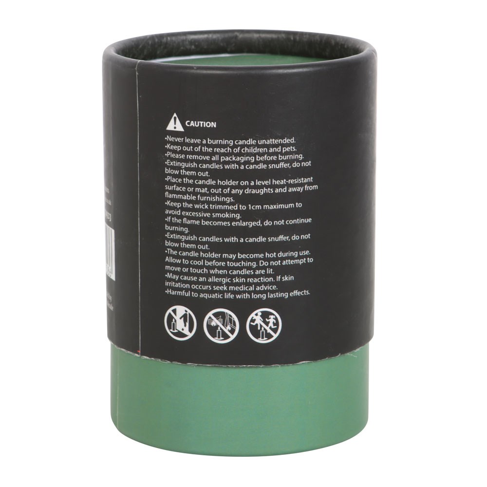Luna Moth White Sage Candle4