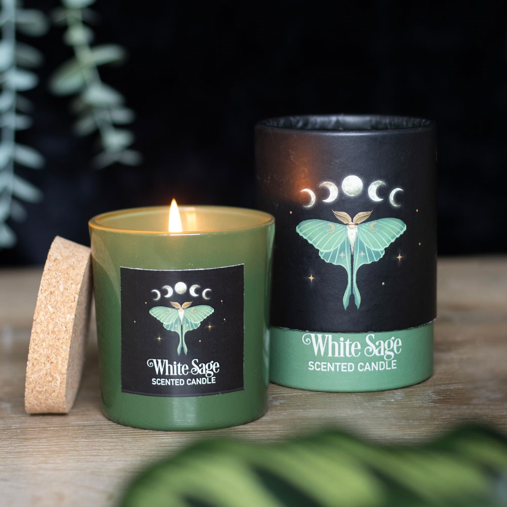 Luna Moth White Sage Candle6
