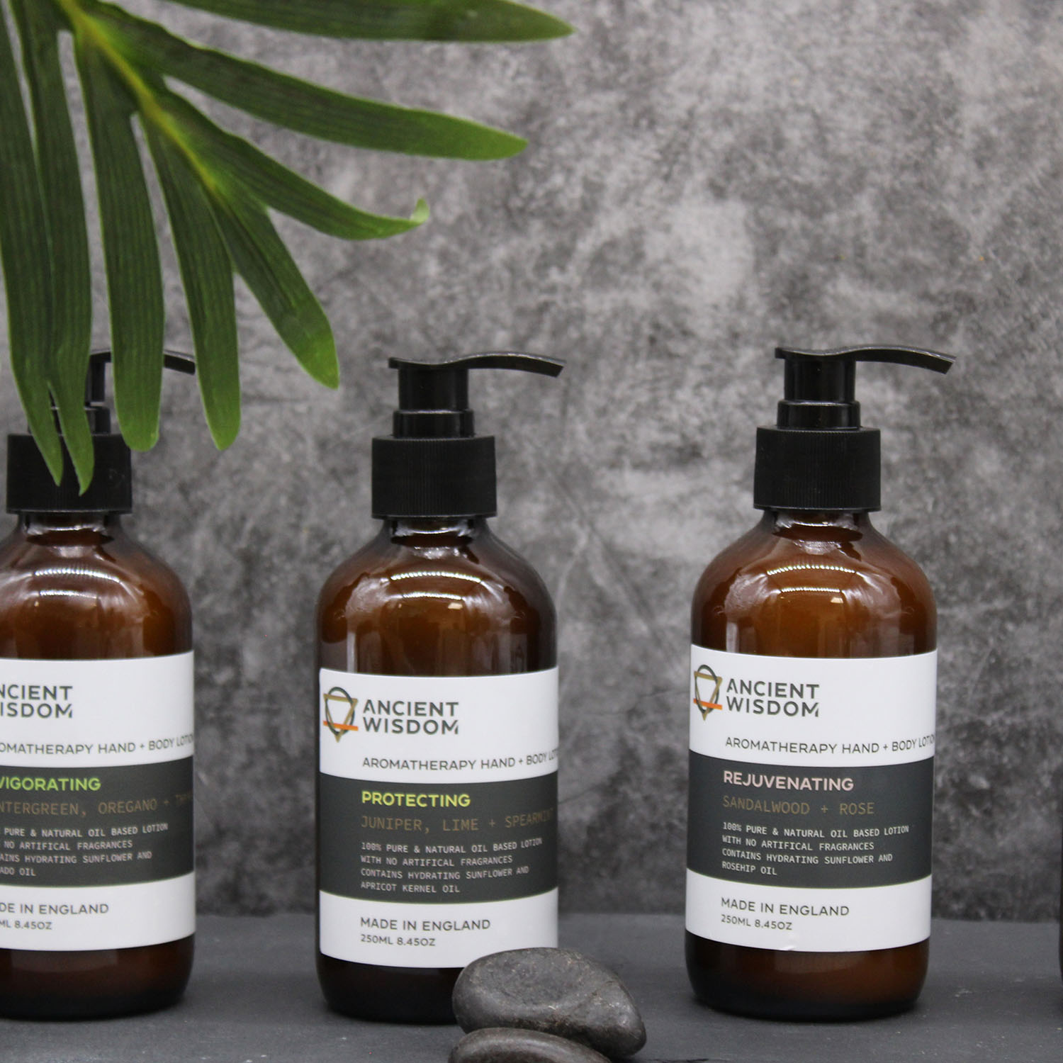 Nourishing Tangerine, Ylang & Patchouli Hand & Body Lotion - 250ml3