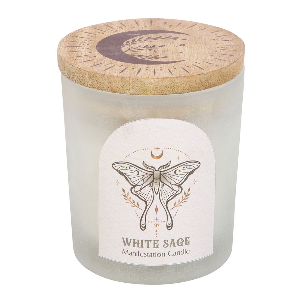 Luna Moth Manifestation Candle with Clear Quartz Crystals3
