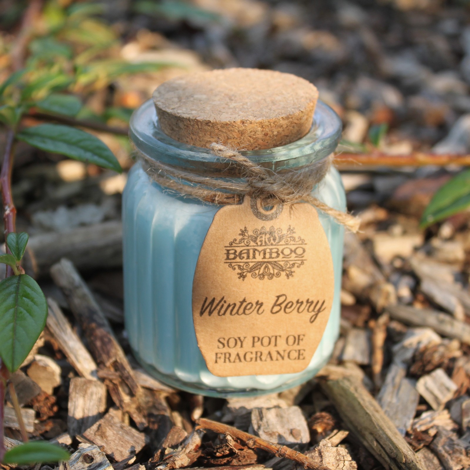 Winter Berry Soy Pot of Fragrance Candle4