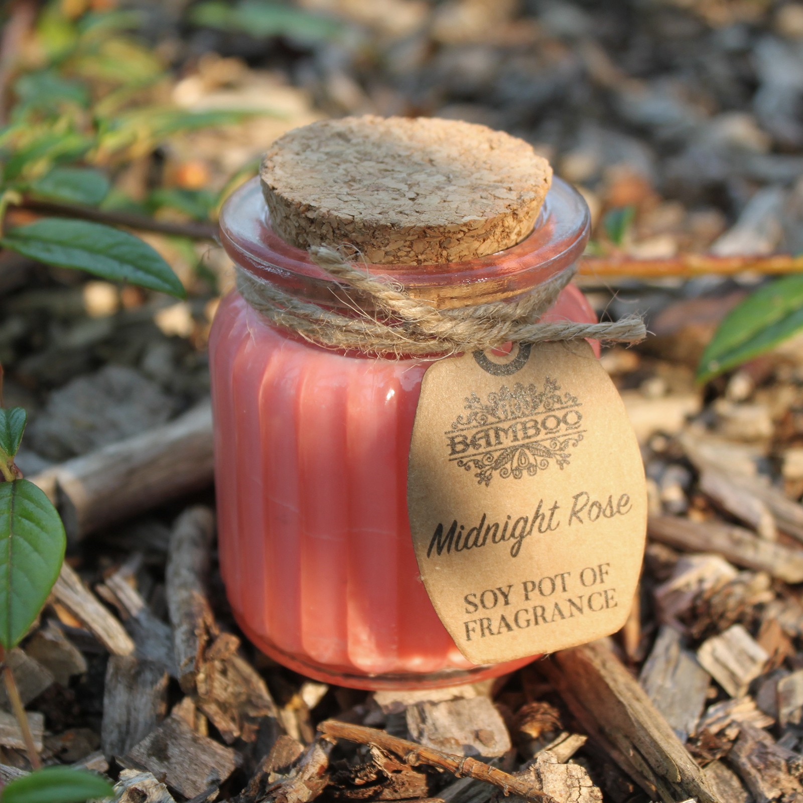 Midnight Rose Soy Pot of Fragrance Candle4