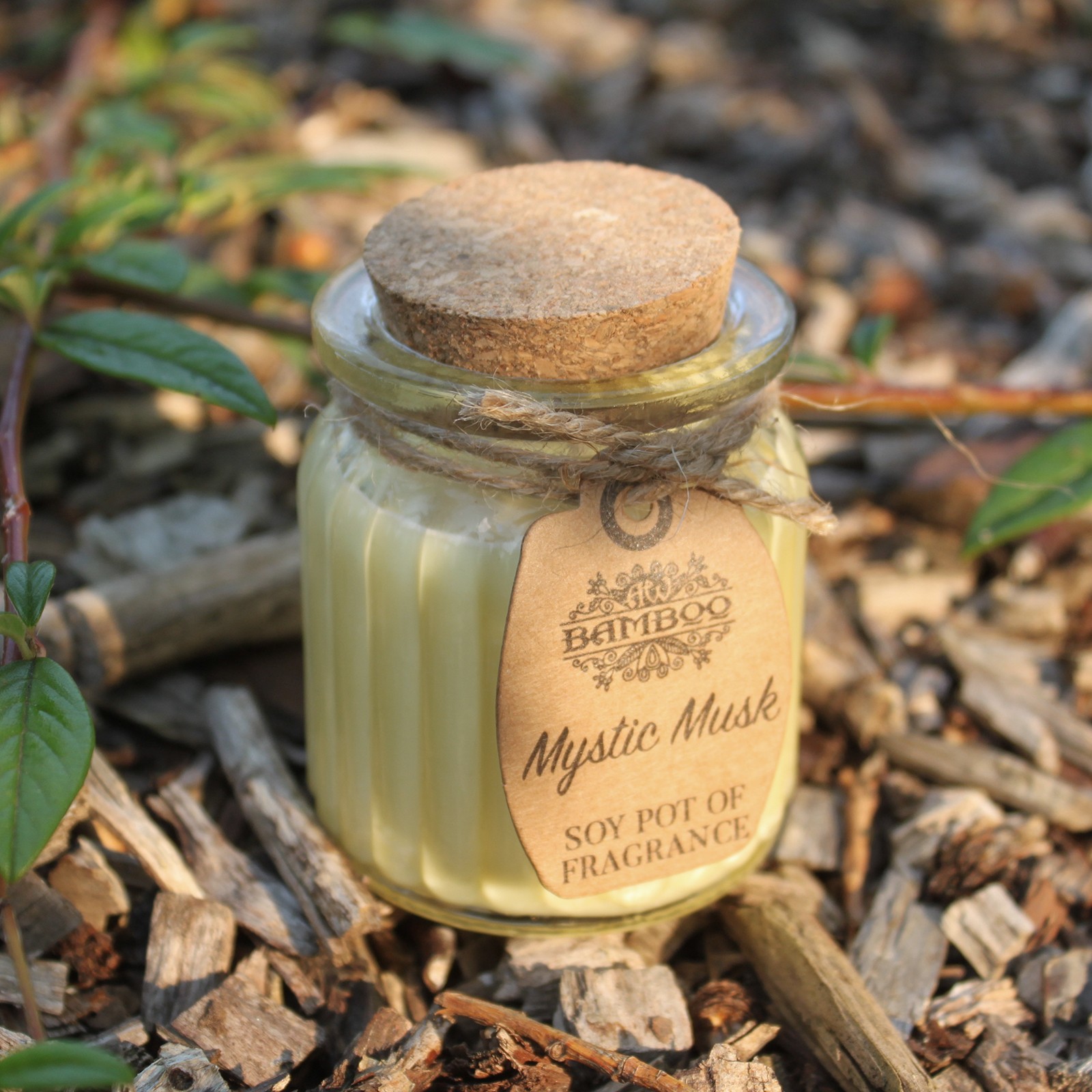 Mystic Musk Soy Pot of Fragrance Candle4