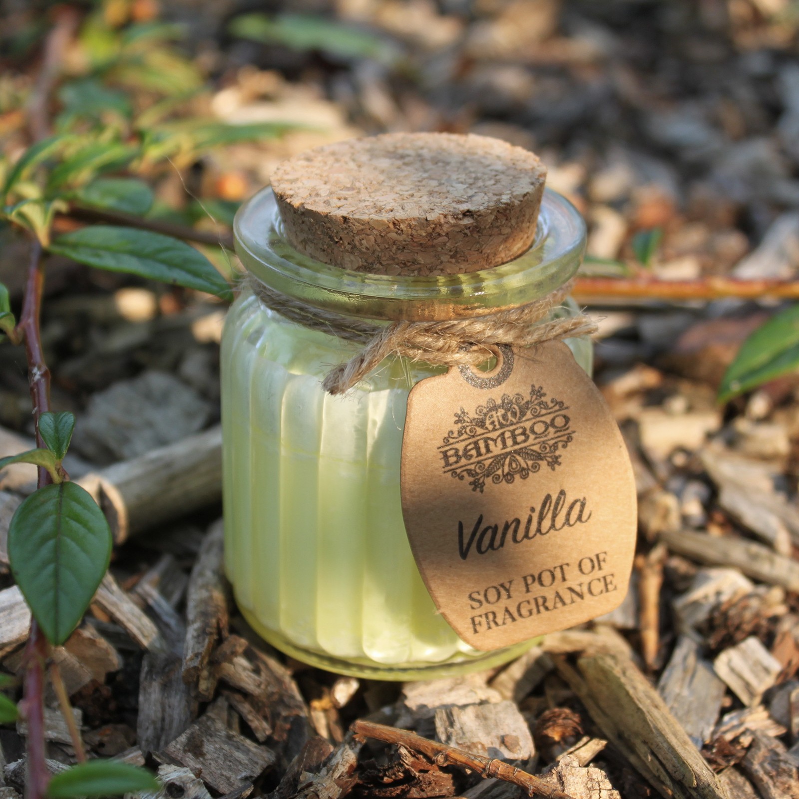 Vanilla Soy Pot of Fragrance Candle4