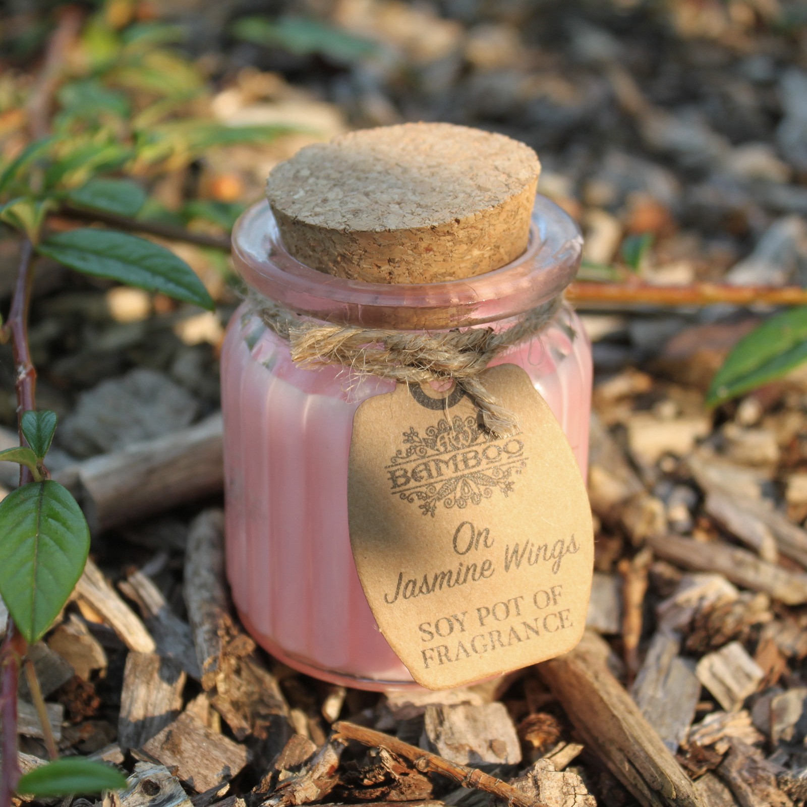 On Jasmine Wings Soy Pot of Fragrance Candle4
