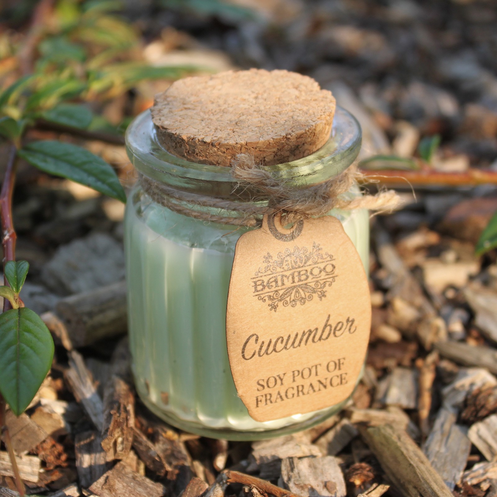 Cucumber Soy Pot of Fragrance Candle4