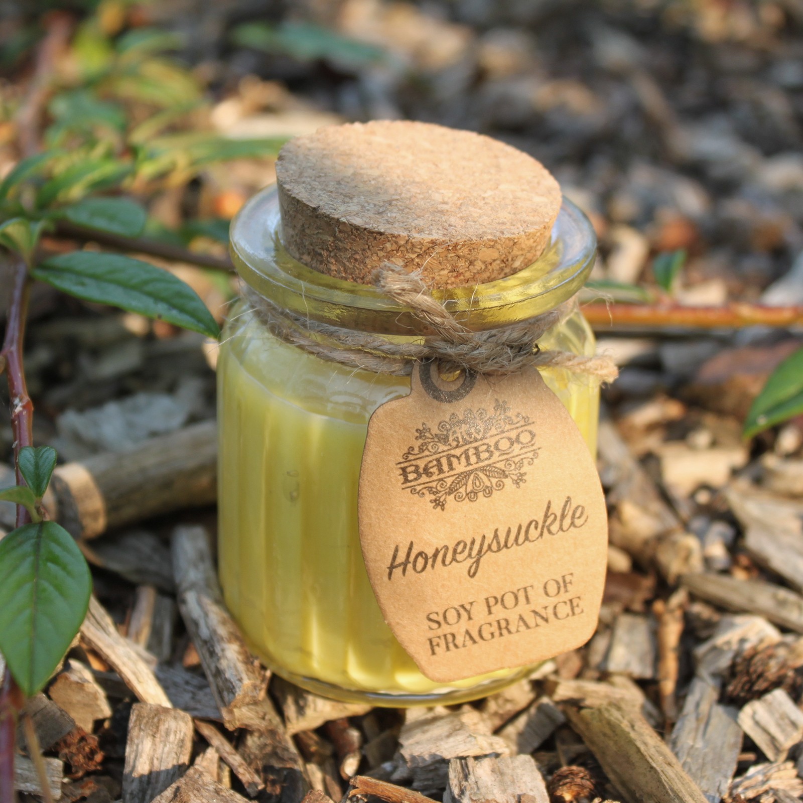 Honeysuckle Soy Pot of Fragrance Candle4