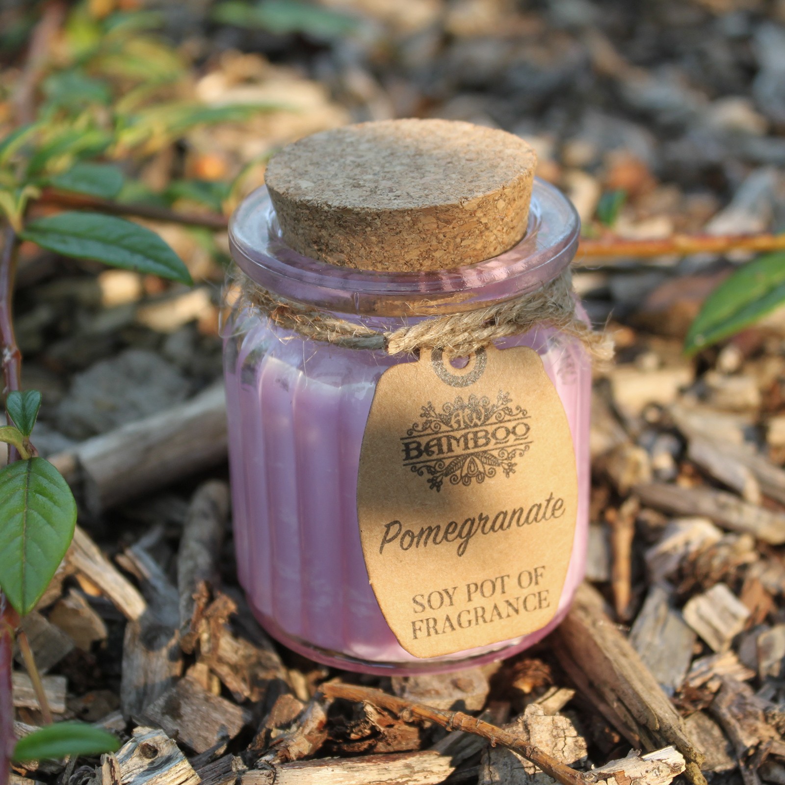 Pomegranate Soy Pot of Fragrance Candle4