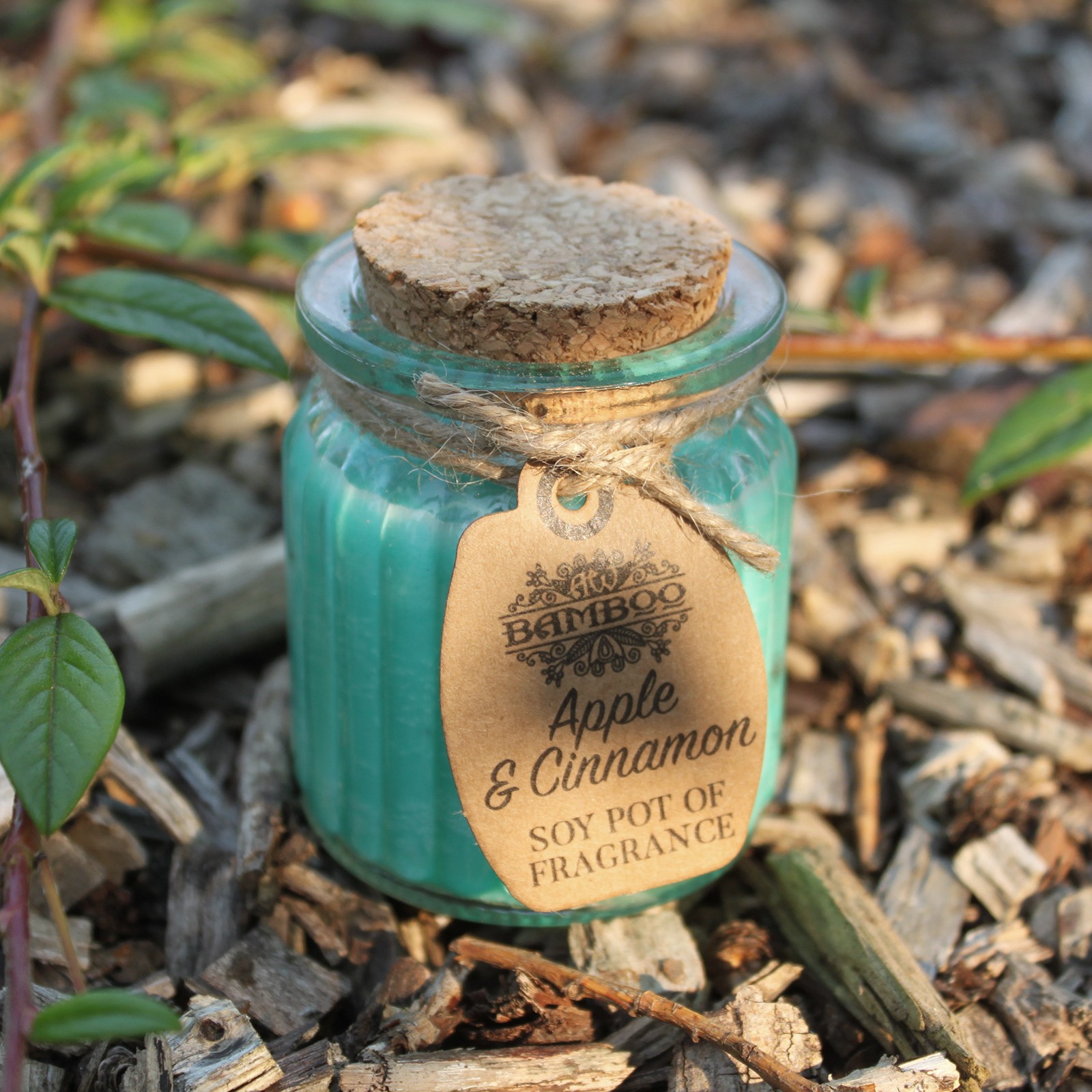 Apple & Cinnamon Soy Pot of Fragrance Candle4