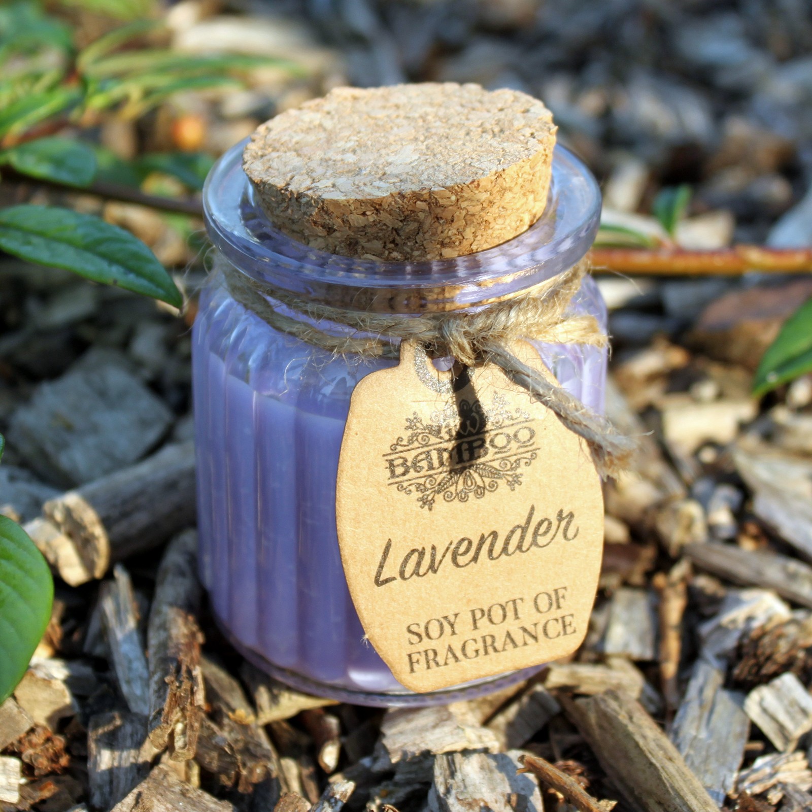 Lavender Soy Pot of Fragrance Candle4