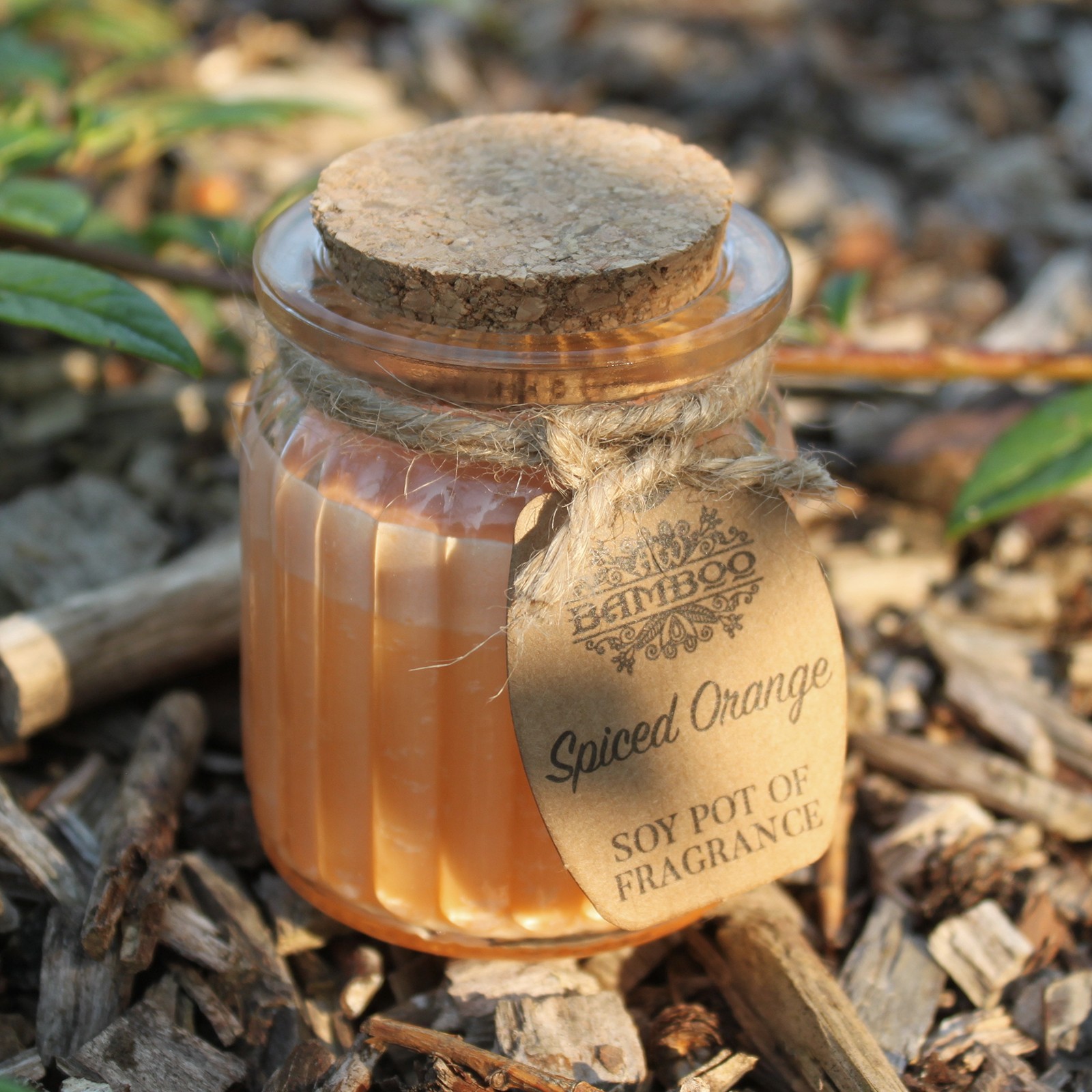 Spiced Orange Soy Pot of Fragrance Candle4