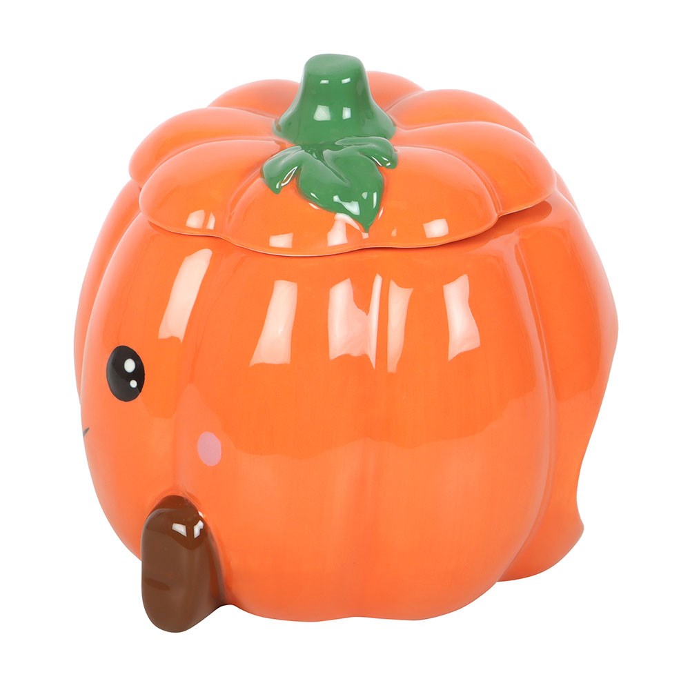 Cute Smiling Pumpkin Oil Burner & Wax Warmer2