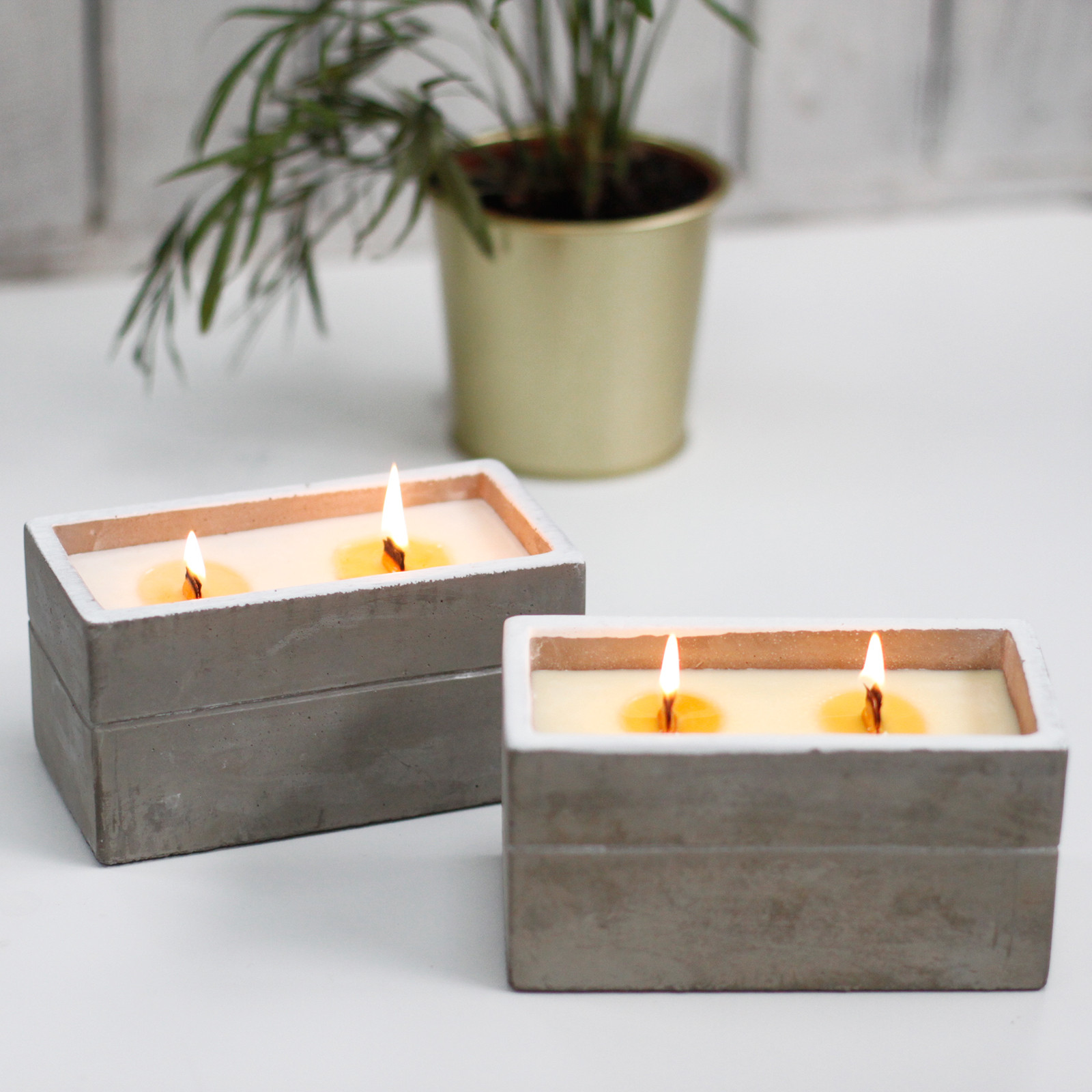 Large Clove & Dark Sandalwood Concrete Candle with Wooden Wick2