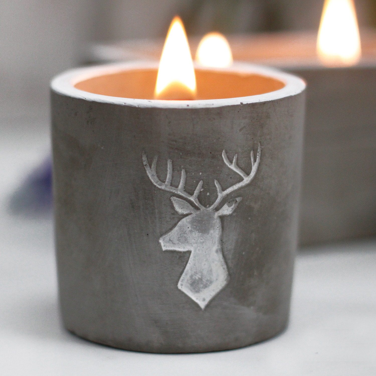 Whiskey & Woodsmoke Scented Concrete Candle Pot with Wooden Wick2