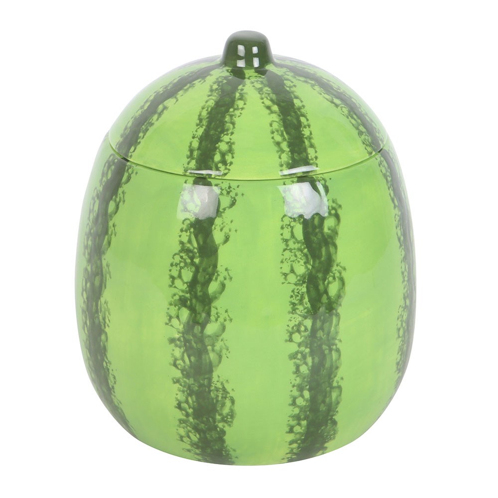 Watermelon Oil Burner and Wax Warmer2