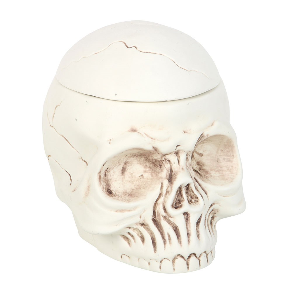 Weathered Skull Oil Burner and Wax Warmer1