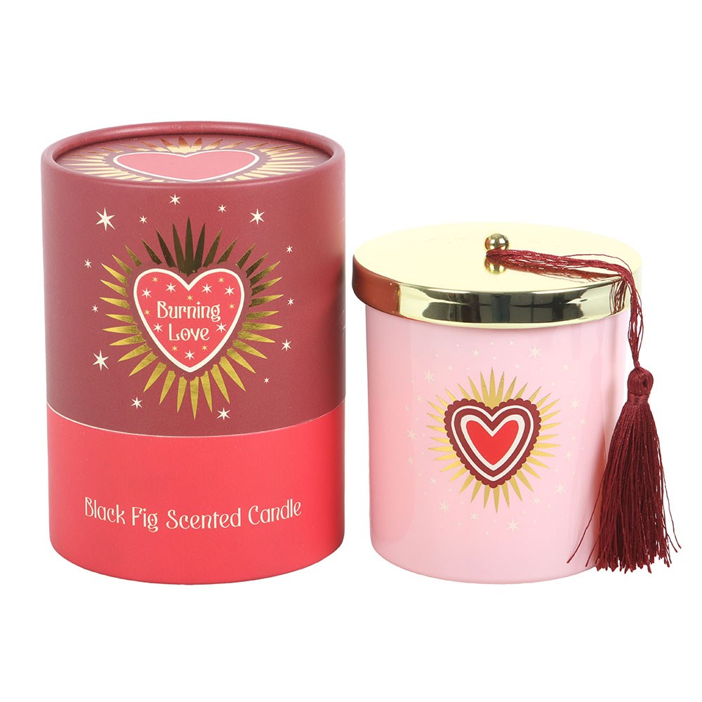 Burning Love Black Fig Scented Candle in Gift Box1