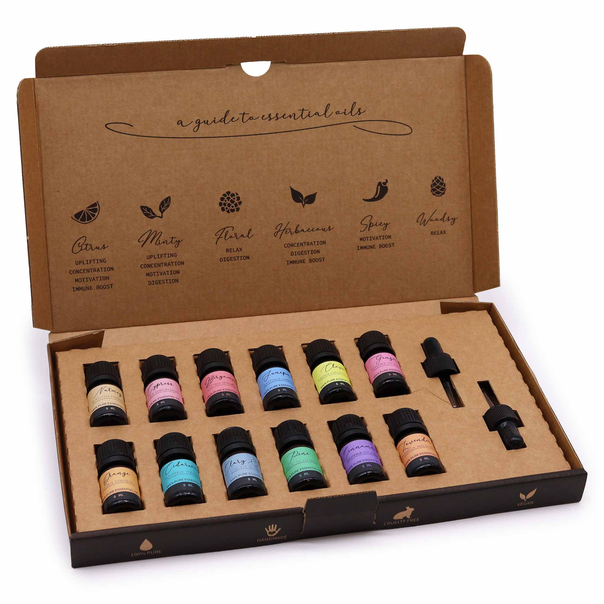 Aromatherapy Essential Oil Set - Summer Edition (12 x 5ml)