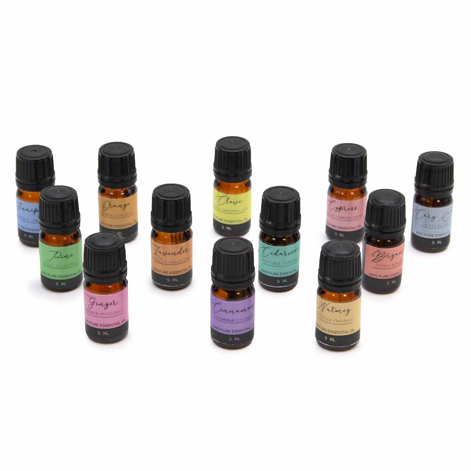 Aromatherapy Essential Oil Set - Summer Edition (12 x 5ml)1