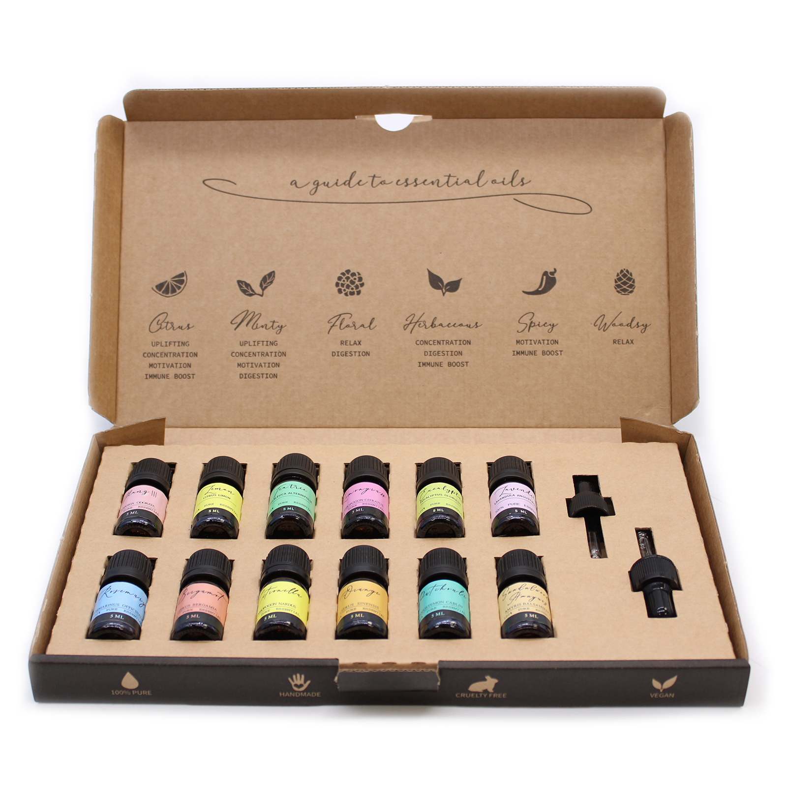 Aromatherapy Essential Oil Set - The Top 12 (12 x 5ml)1