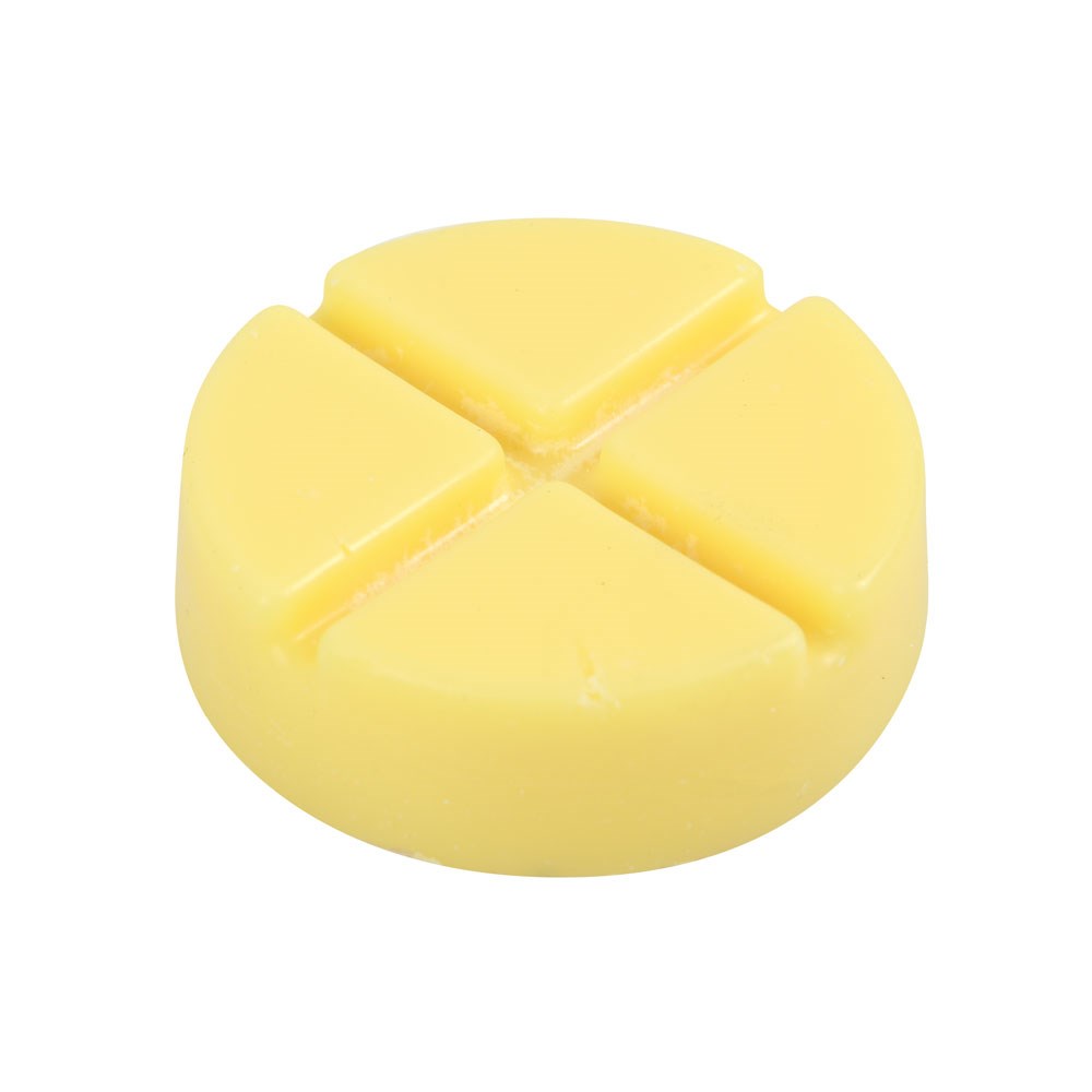 Spell Bound Soy Wax Snap Disc – Handmade Vegan Melt2