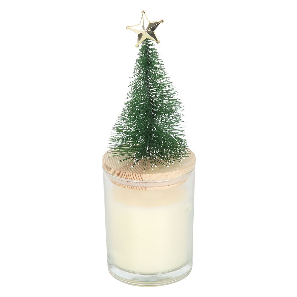 Holly Jolly Pine & Fir Glass Candle with Decorative Tree Lid2
