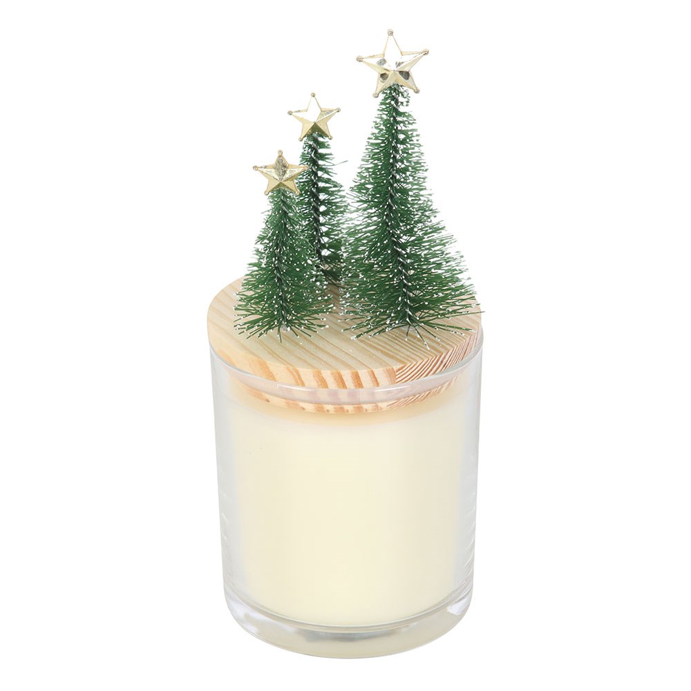Merry and Bright Cinnamon & Spice Glass Candle with Decorative Tree Lid2