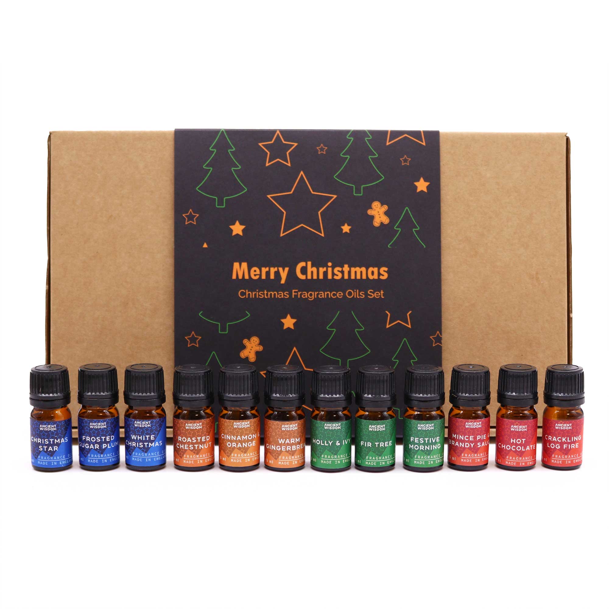 Festive Delights Fragrance Oils Set1